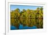 Reflections of mangroves in Pumicestone Passage, Queensland, Australia-Mark A Johnson-Framed Photographic Print