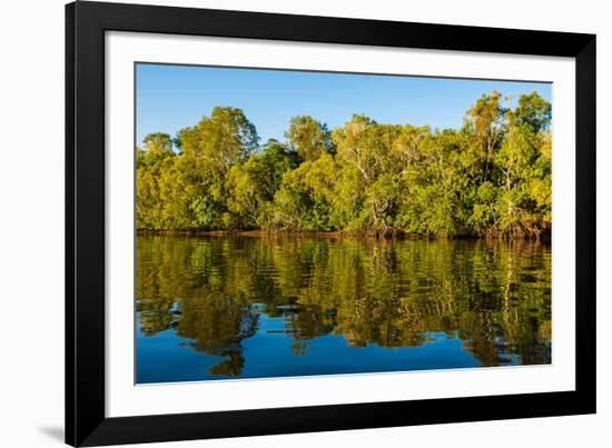 Reflections of mangroves in Pumicestone Passage, Queensland, Australia-Mark A Johnson-Framed Photographic Print