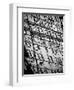 Reflections of NYC III-Jeff Pica-Framed Photographic Print