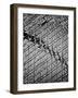 Reflections of NYC V-Jeff Pica-Framed Photographic Print