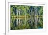 Reflections of Paperbark Trees in the Noosa River-Mark A Johnson-Framed Photographic Print