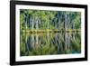 Reflections of Paperbark Trees in the Noosa River-Mark A Johnson-Framed Photographic Print