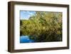 Reflections of Paperbark Trees in the Noosa River-Mark A Johnson-Framed Photographic Print