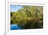 Reflections of Paperbark Trees in the Noosa River-Mark A Johnson-Framed Photographic Print