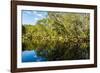 Reflections of Paperbark Trees in the Noosa River-Mark A Johnson-Framed Photographic Print