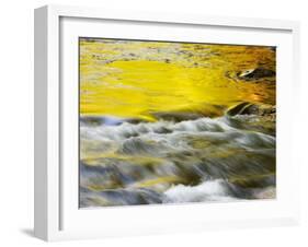 Reflections of Spring in Stream, Great Smoky Mountain National Park, Tennessee, USA-null-Framed Photographic Print