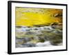 Reflections of Spring in Stream, Great Smoky Mountain National Park, Tennessee, USA-null-Framed Photographic Print