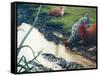 Reflections of Spring-Kevin Dodds-Framed Stretched Canvas