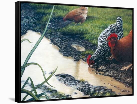 Reflections of Spring-Kevin Dodds-Framed Stretched Canvas