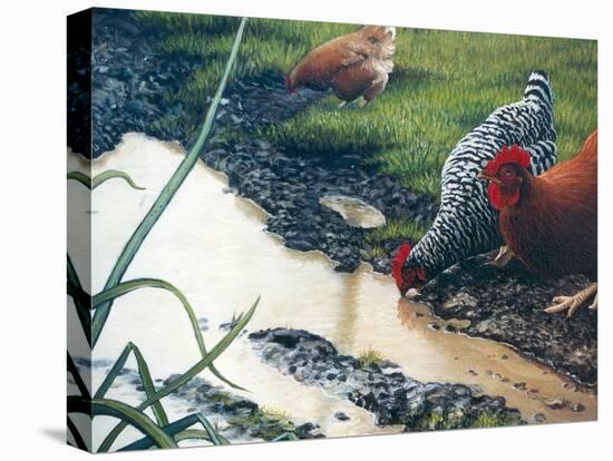 Reflections of Spring-Kevin Dodds-Stretched Canvas