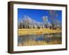Reflections of Trees and Rushes in River, Bear River, Evanston, Wyoming, USA-Scott T^ Smith-Framed Photographic Print