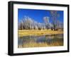 Reflections of Trees and Rushes in River, Bear River, Evanston, Wyoming, USA-Scott T^ Smith-Framed Photographic Print