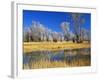 Reflections of Trees and Rushes in River, Bear River, Evanston, Wyoming, USA-Scott T^ Smith-Framed Photographic Print