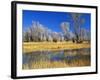 Reflections of Trees and Rushes in River, Bear River, Evanston, Wyoming, USA-Scott T^ Smith-Framed Photographic Print