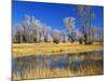 Reflections of Trees and Rushes in River, Bear River, Evanston, Wyoming, USA-Scott T^ Smith-Mounted Photographic Print