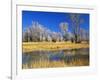 Reflections of Trees and Rushes in River, Bear River, Evanston, Wyoming, USA-Scott T^ Smith-Framed Photographic Print