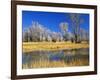 Reflections of Trees and Rushes in River, Bear River, Evanston, Wyoming, USA-Scott T^ Smith-Framed Photographic Print