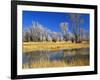 Reflections of Trees and Rushes in River, Bear River, Evanston, Wyoming, USA-Scott T^ Smith-Framed Photographic Print