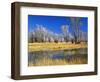 Reflections of Trees and Rushes in River, Bear River, Evanston, Wyoming, USA-Scott T^ Smith-Framed Photographic Print