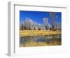 Reflections of Trees and Rushes in River, Bear River, Evanston, Wyoming, USA-Scott T^ Smith-Framed Photographic Print