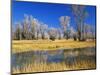 Reflections of Trees and Rushes in River, Bear River, Evanston, Wyoming, USA-Scott T^ Smith-Mounted Photographic Print