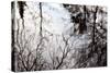 Reflections of Trees in Water-Mark Sunderland-Stretched Canvas