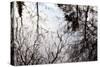 Reflections of Trees in Water-Mark Sunderland-Stretched Canvas