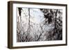 Reflections of Trees in Water-Mark Sunderland-Framed Photographic Print