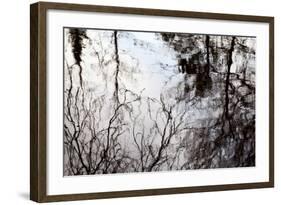 Reflections of Trees in Water-Mark Sunderland-Framed Photographic Print