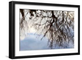 Reflections of Trees in Water-Mark Sunderland-Framed Photographic Print
