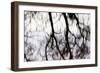 Reflections of Trees in Water-Mark Sunderland-Framed Photographic Print