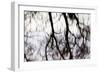 Reflections of Trees in Water-Mark Sunderland-Framed Photographic Print