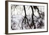 Reflections of Trees in Water-Mark Sunderland-Framed Photographic Print