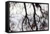 Reflections of Trees in Water-Mark Sunderland-Framed Stretched Canvas