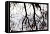 Reflections of Trees in Water-Mark Sunderland-Framed Stretched Canvas