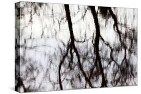 Reflections of Trees in Water-Mark Sunderland-Stretched Canvas