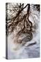 Reflections of Trees in Water-Mark Sunderland-Stretched Canvas