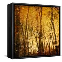 Reflections of Trees in Water-Trigger Image-Framed Stretched Canvas