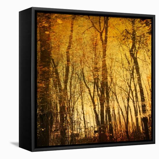 Reflections of Trees in Water-Trigger Image-Framed Stretched Canvas