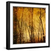 Reflections of Trees in Water-Trigger Image-Framed Photographic Print