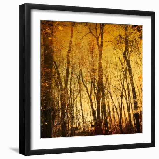 Reflections of Trees in Water-Trigger Image-Framed Photographic Print