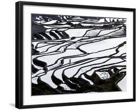 Reflections Off Water Filled Rice Terraces, Yuanyang County, Honghe, Yunnan Province, China-Peter Adams-Framed Photographic Print