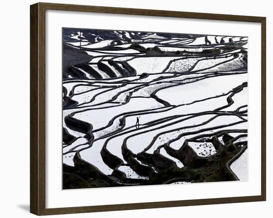 Reflections Off Water Filled Rice Terraces, Yuanyang County, Honghe, Yunnan Province, China-Peter Adams-Framed Photographic Print