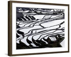 Reflections Off Water Filled Rice Terraces, Yuanyang County, Honghe, Yunnan Province, China-Peter Adams-Framed Photographic Print