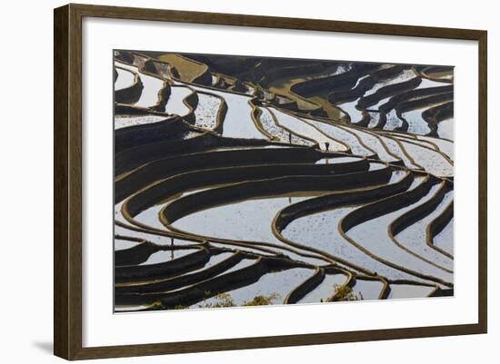 Reflections Off Water Filled Rice Terraces, Yuanyang, Honghe, China-Peter Adams-Framed Photographic Print