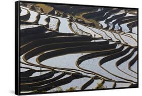 Reflections Off Water Filled Rice Terraces, Yuanyang, Honghe, China-Peter Adams-Framed Stretched Canvas