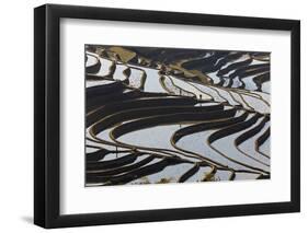 Reflections Off Water Filled Rice Terraces, Yuanyang, Honghe, China-Peter Adams-Framed Photographic Print