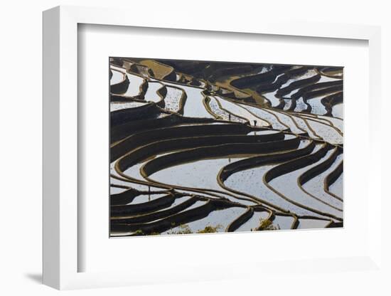 Reflections Off Water Filled Rice Terraces, Yuanyang, Honghe, China-Peter Adams-Framed Photographic Print