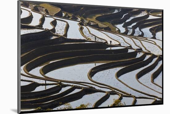 Reflections Off Water Filled Rice Terraces, Yuanyang, Honghe, China-Peter Adams-Mounted Photographic Print