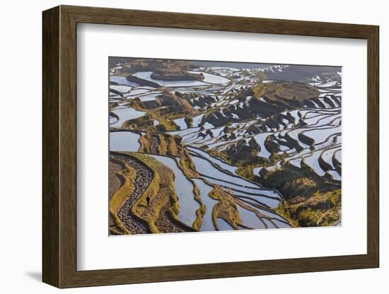 Reflections Off Water Filled Rice Terraces, Yuanyang, Honghe, China-Peter Adams-Framed Photographic Print